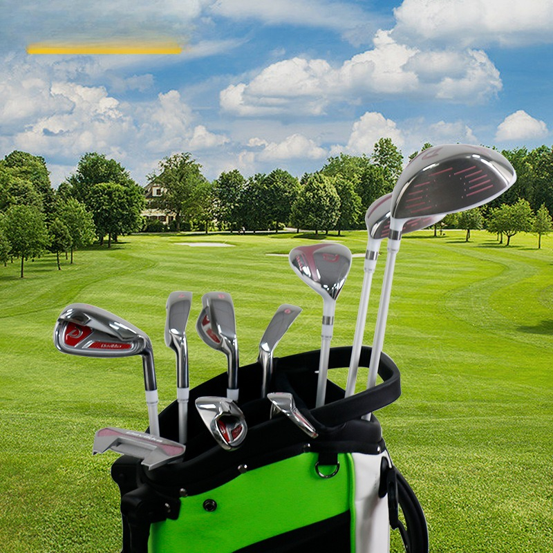 Pink Ladies Golf Clubs Adult B - Golf Equipment Beginners 리뷰 및 가격